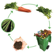 compost cycle