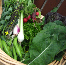 veggies