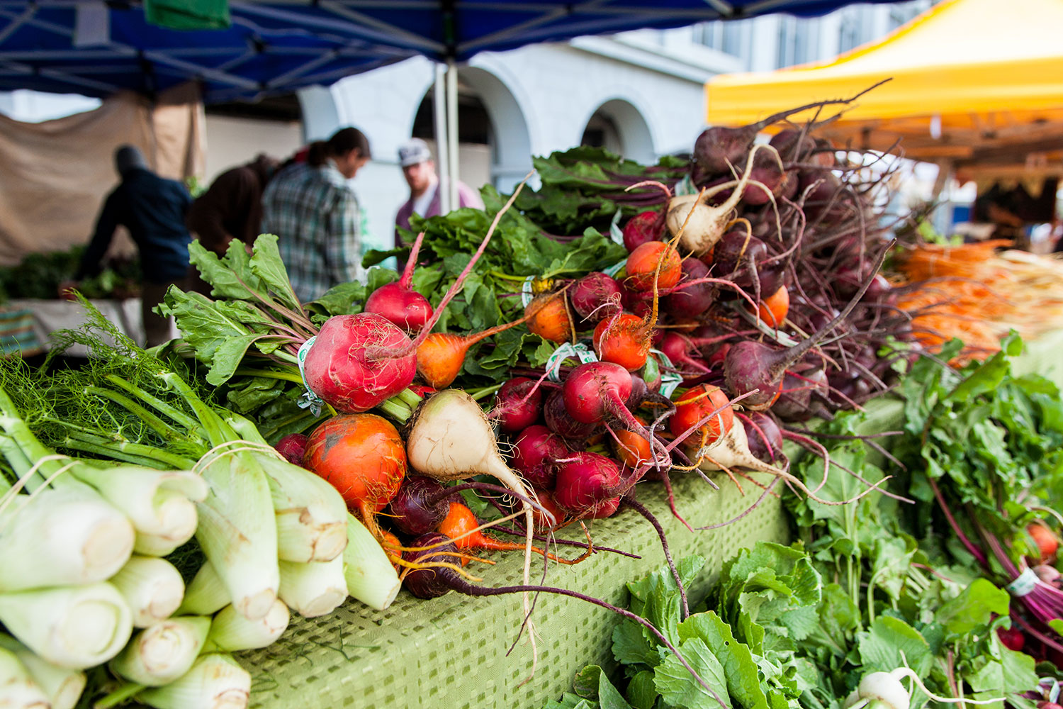 Market Fresh Finds: Radishes perfect for much more than garnish