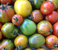 sites/default/files/tomatoes_colorful.jpg