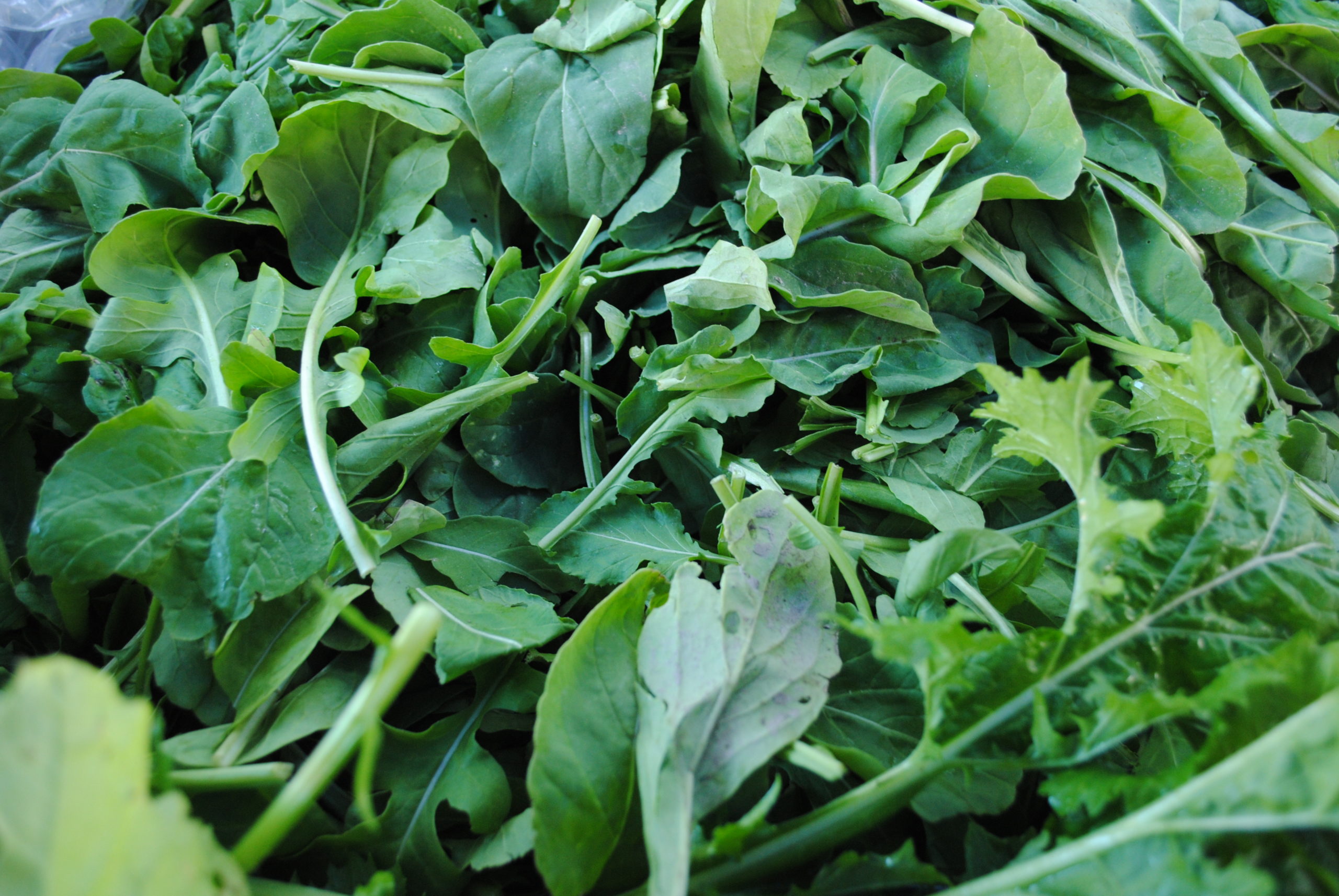 Spinach : Foodwise