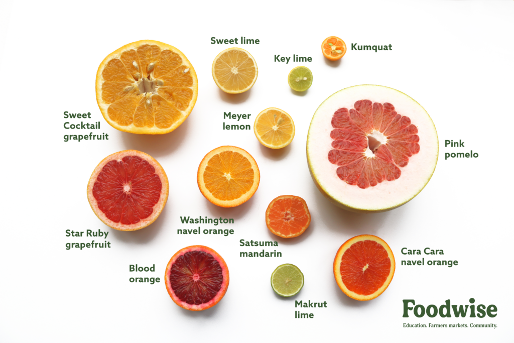 A picture of labeled cross sections of different varieties of citrus