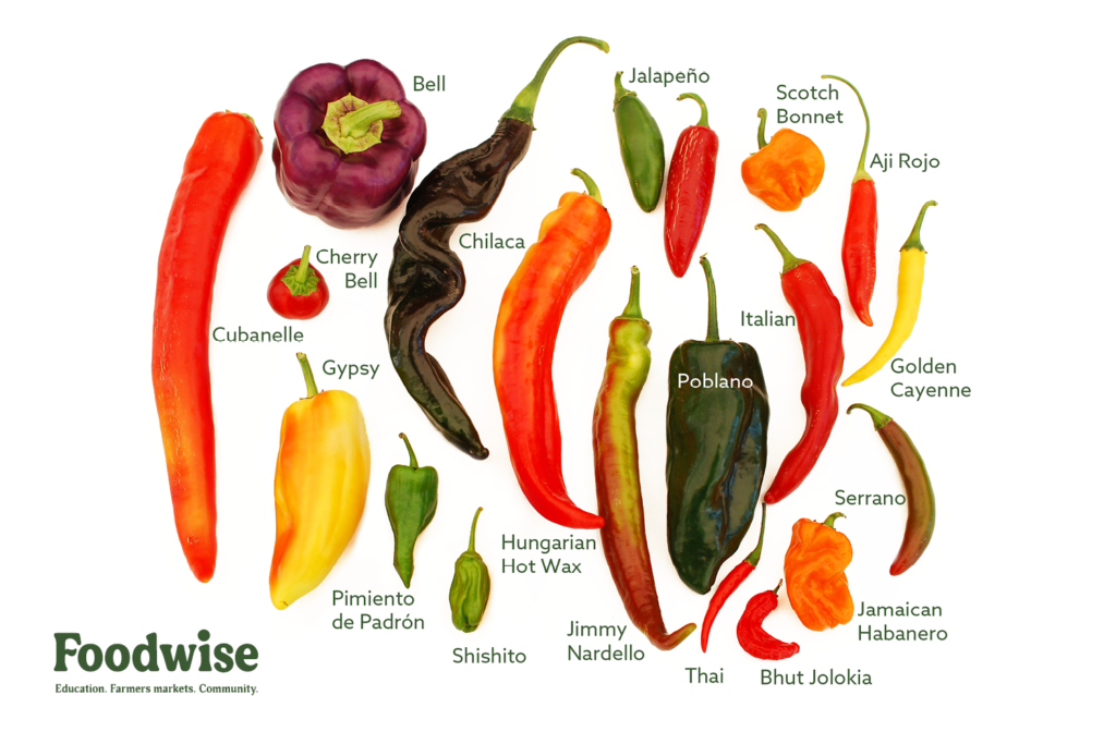 From Sweet to Heat: A Farmers Market Guide to Peppers : Foodwise