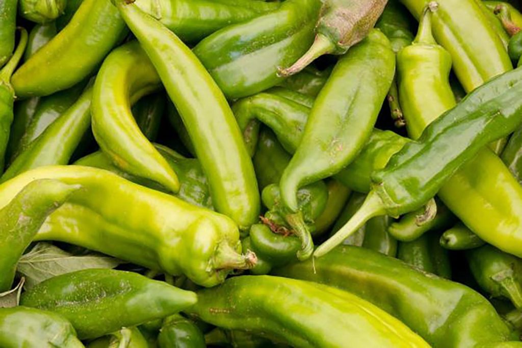 From Sweet to Heat: A Farmers Market Guide to Peppers : Foodwise
