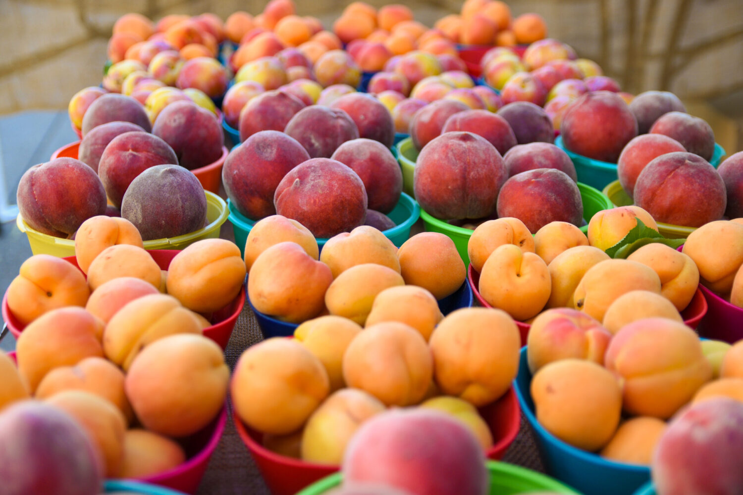 rows of brightly colored stone fruit