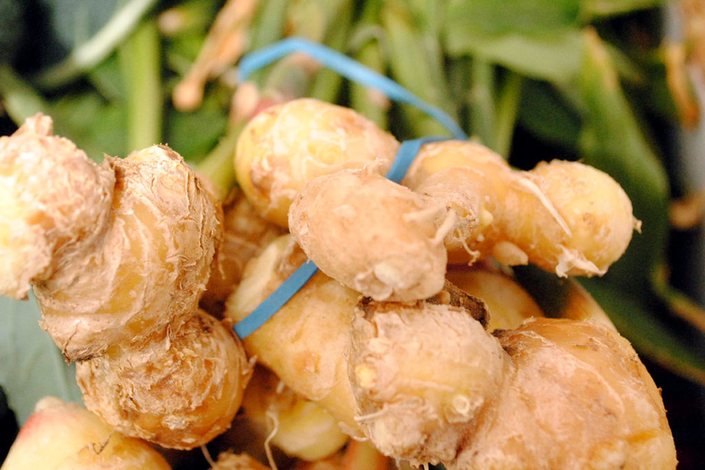 growing-ginger-from-root-how-to-grow-ginger-root