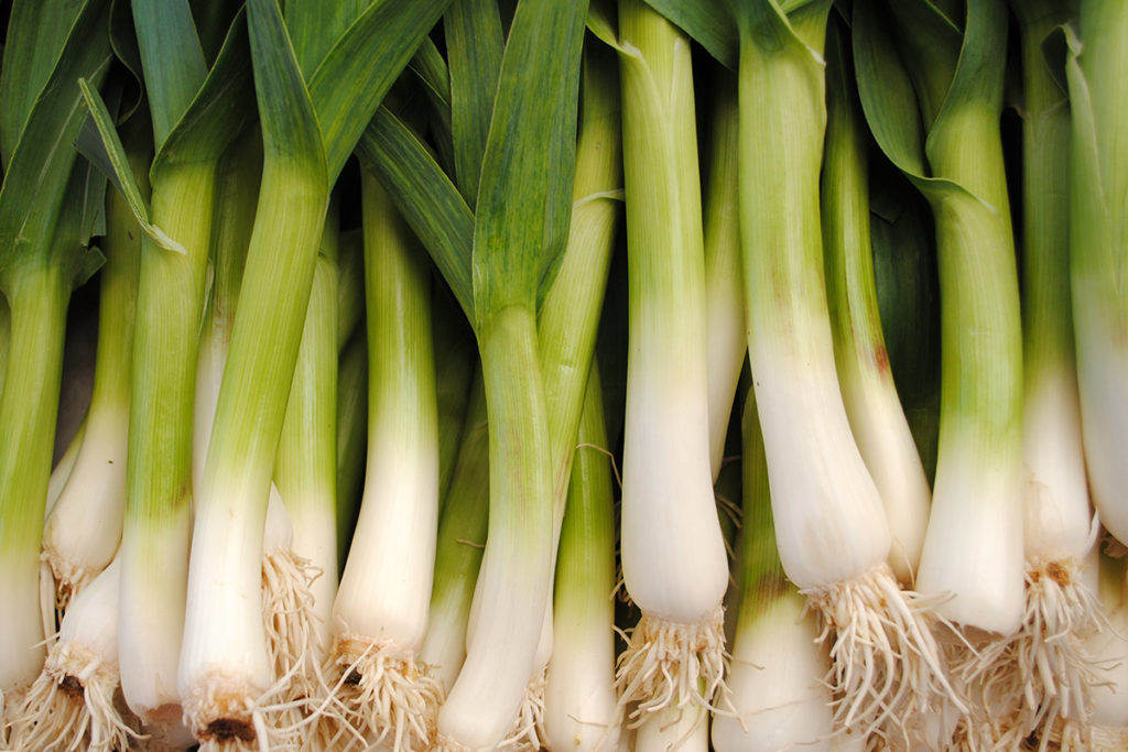 Green garlic : Foodwise