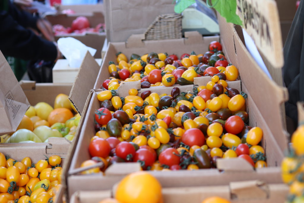 cardboard boxes full of red, yellow, and purple tomatoes at Foodwise's Ferry Plaza Farmers Market in San Francisco.