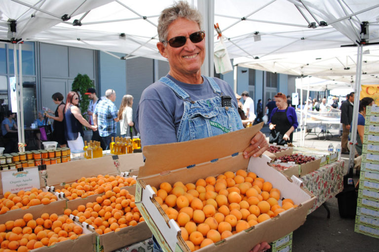 Frog Hollow Farmer Al holds a case of apricots