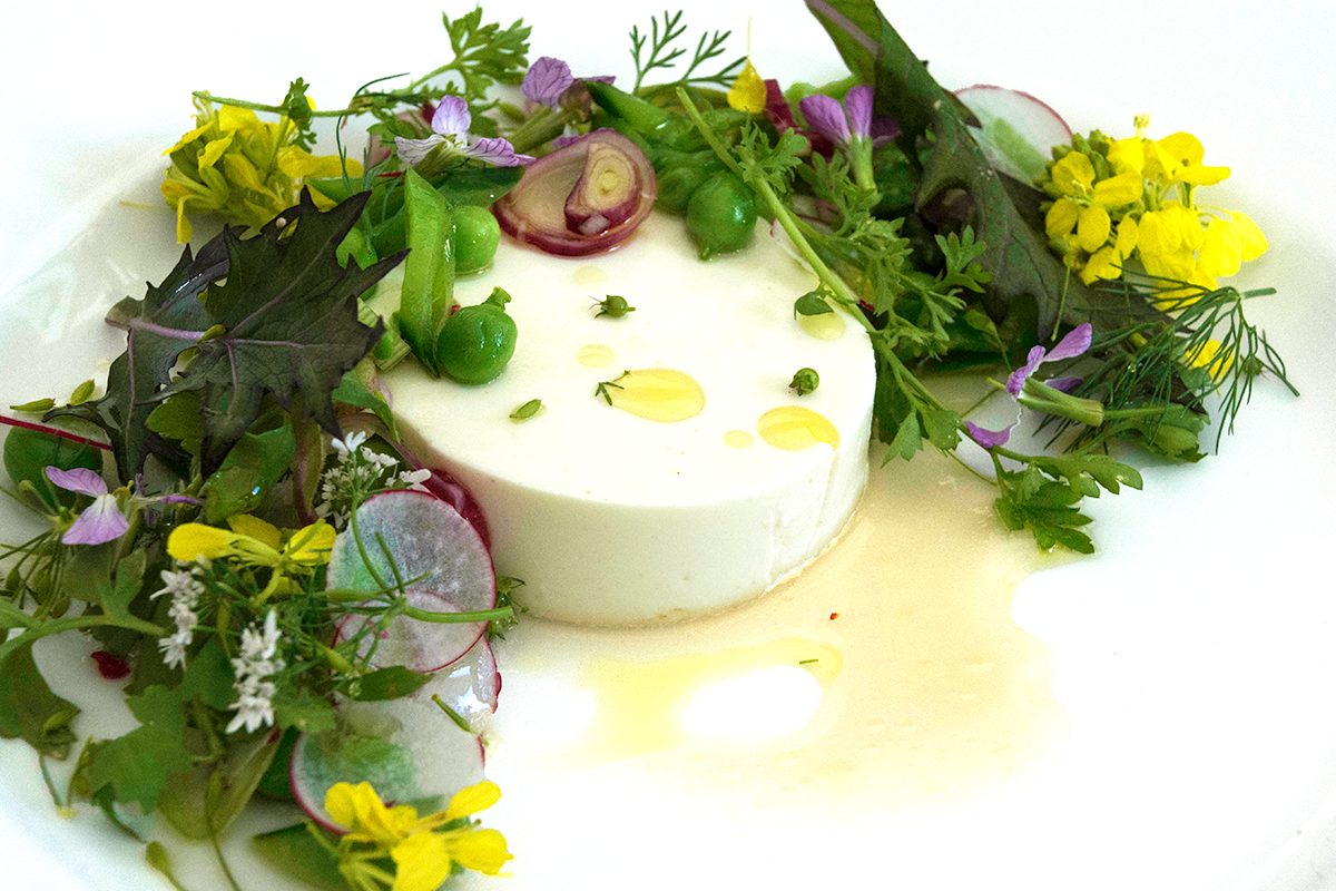Goat Cheese Panna Cotta with Peas, Spring Onions, Petite Greens, and