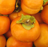 Persimmons : Foodwise