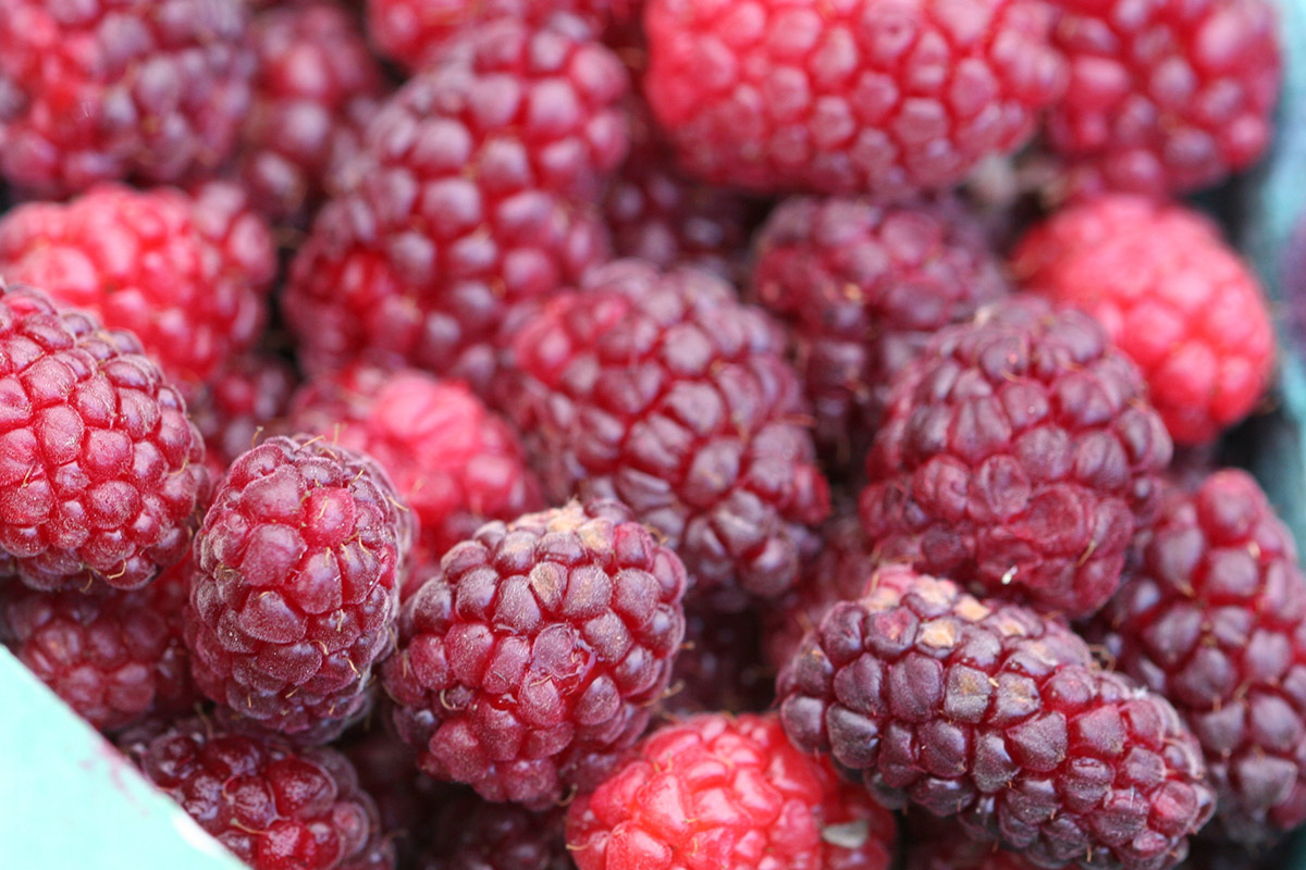 Berry Smart: A Farmers Market Guide to Berries : Foodwise