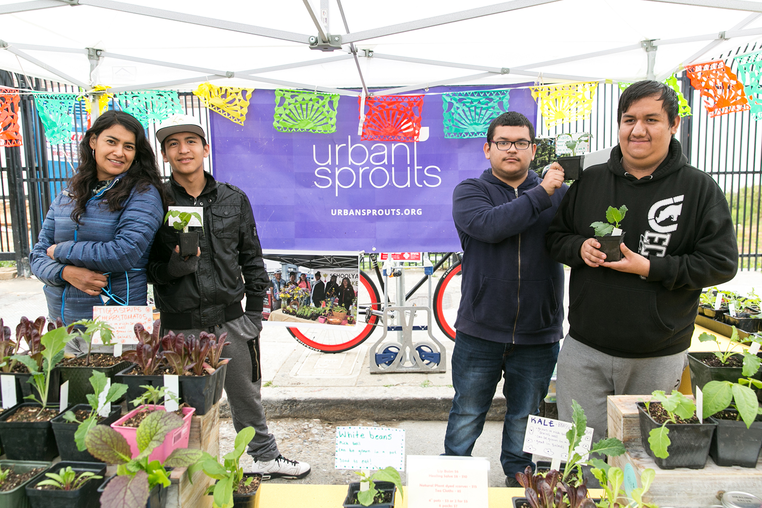 Urban Sprouts