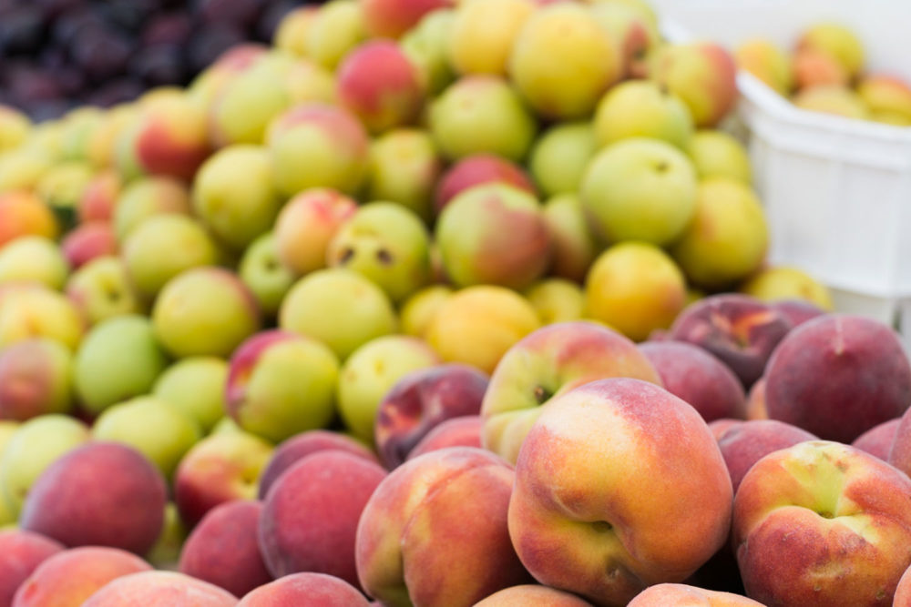 https://foodwise.org/wp-content/uploads/2022/05/Resendiz_farms_stone-fruit_1_jlsfm_by_Tory_Putnam-1000x667.jpg