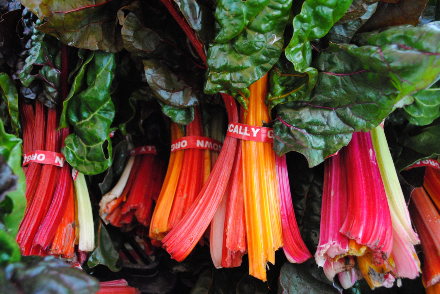 Ferry Plaza Farmers Market photo 27
