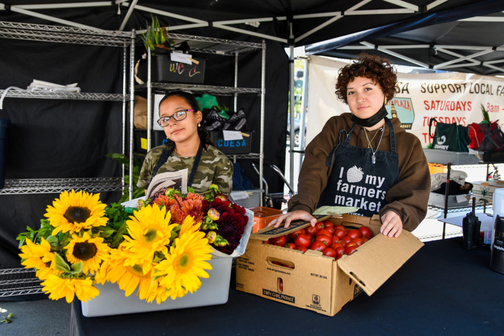 Foodwise Teens students working at the farmers market info booth with boxes of produce