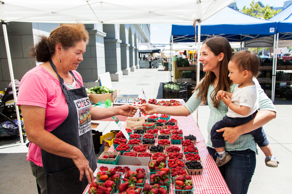 Federal Government Program to Provide Food Assistance for Families