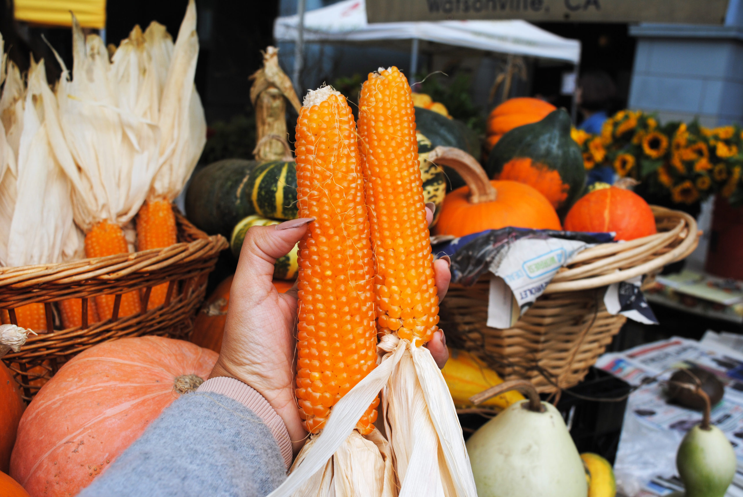 Foods Native To New England