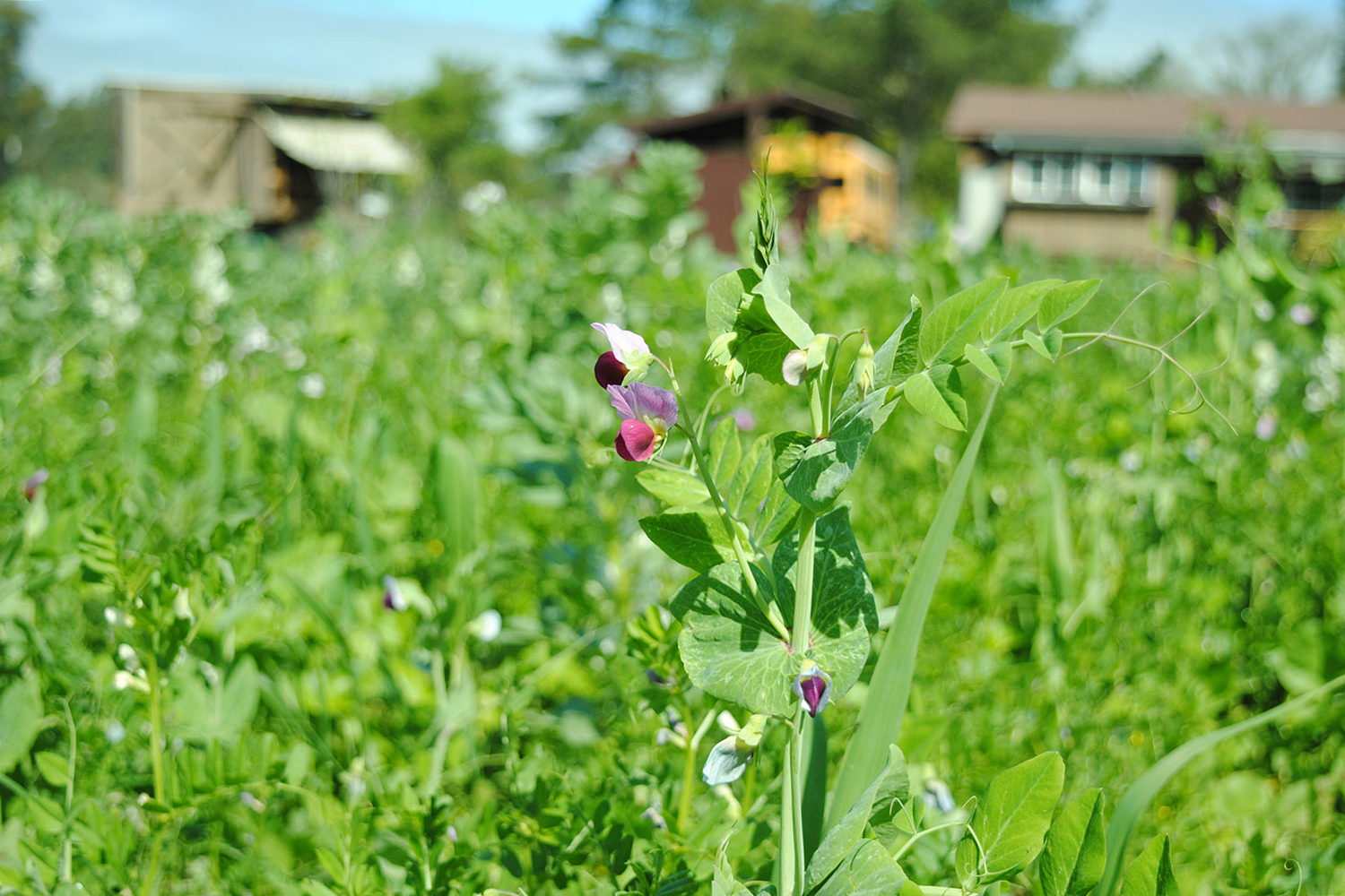 How Can Farmers Reduce Water Pollution