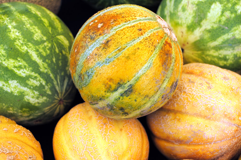 A Farmers Market Guide to Melons Foodwise