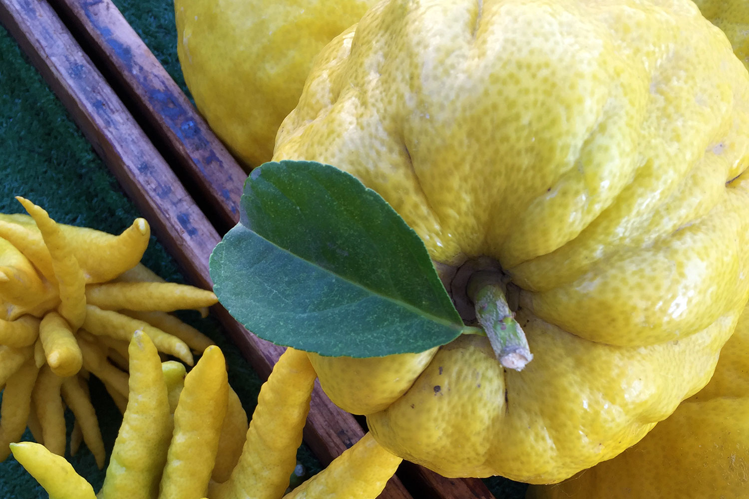 Yuzu : Foodwise