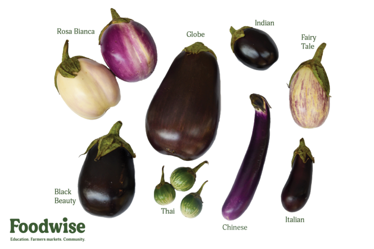 Savory Nightshades A Farmers Market Guide to Eggplants Foodwise