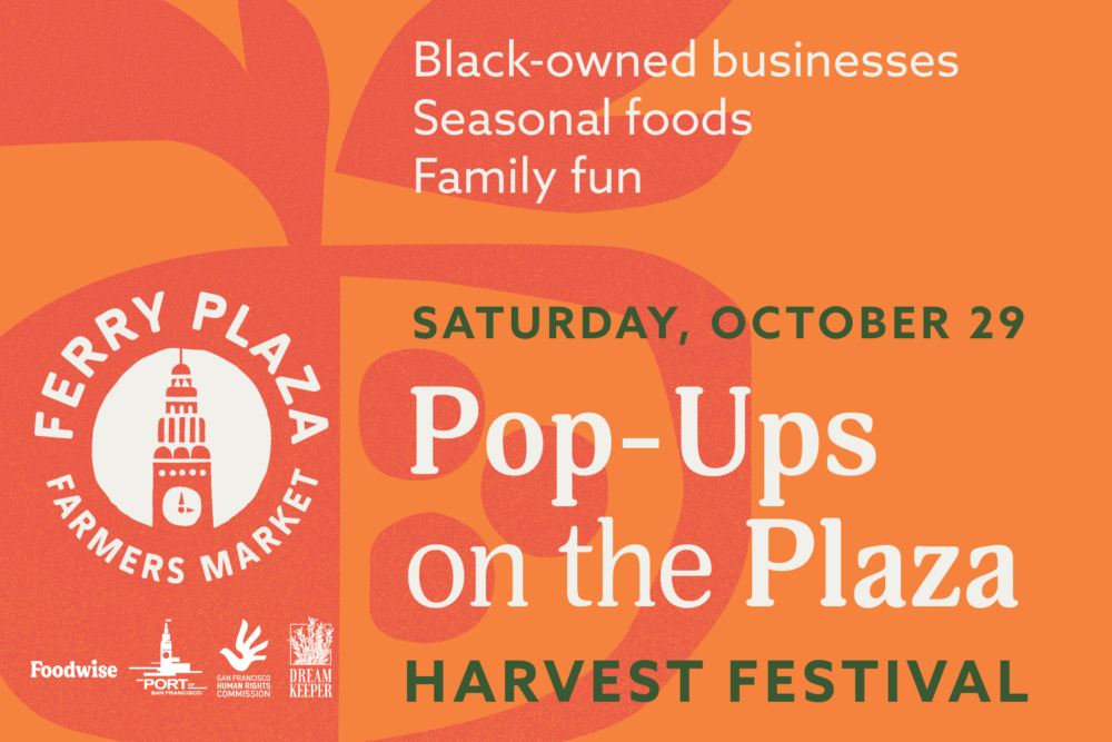 Pop-Ups on the Plaza: Harvest Festival graphic
