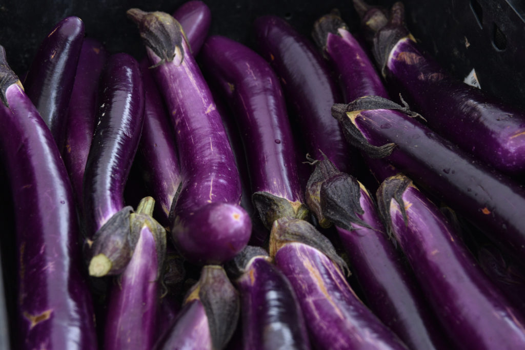 Eggplants ~ right from the Farmer's Market - My Sweet Zepol