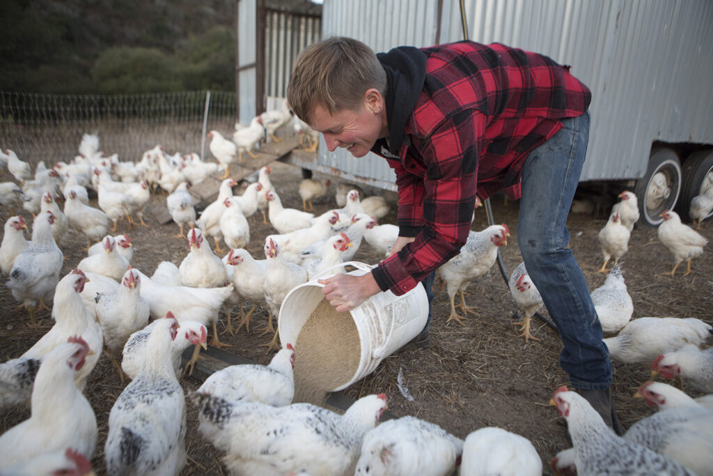 Dede Bois feeding chickens at Root Down Farm