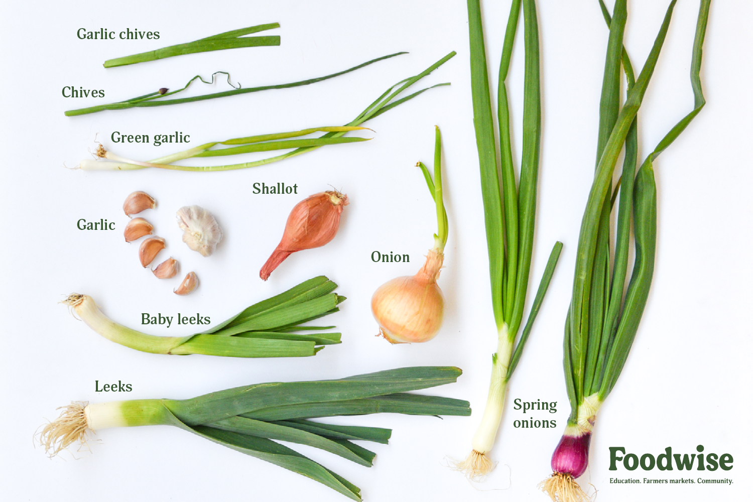 What Are Shallots and How Are They Different Than Onions?