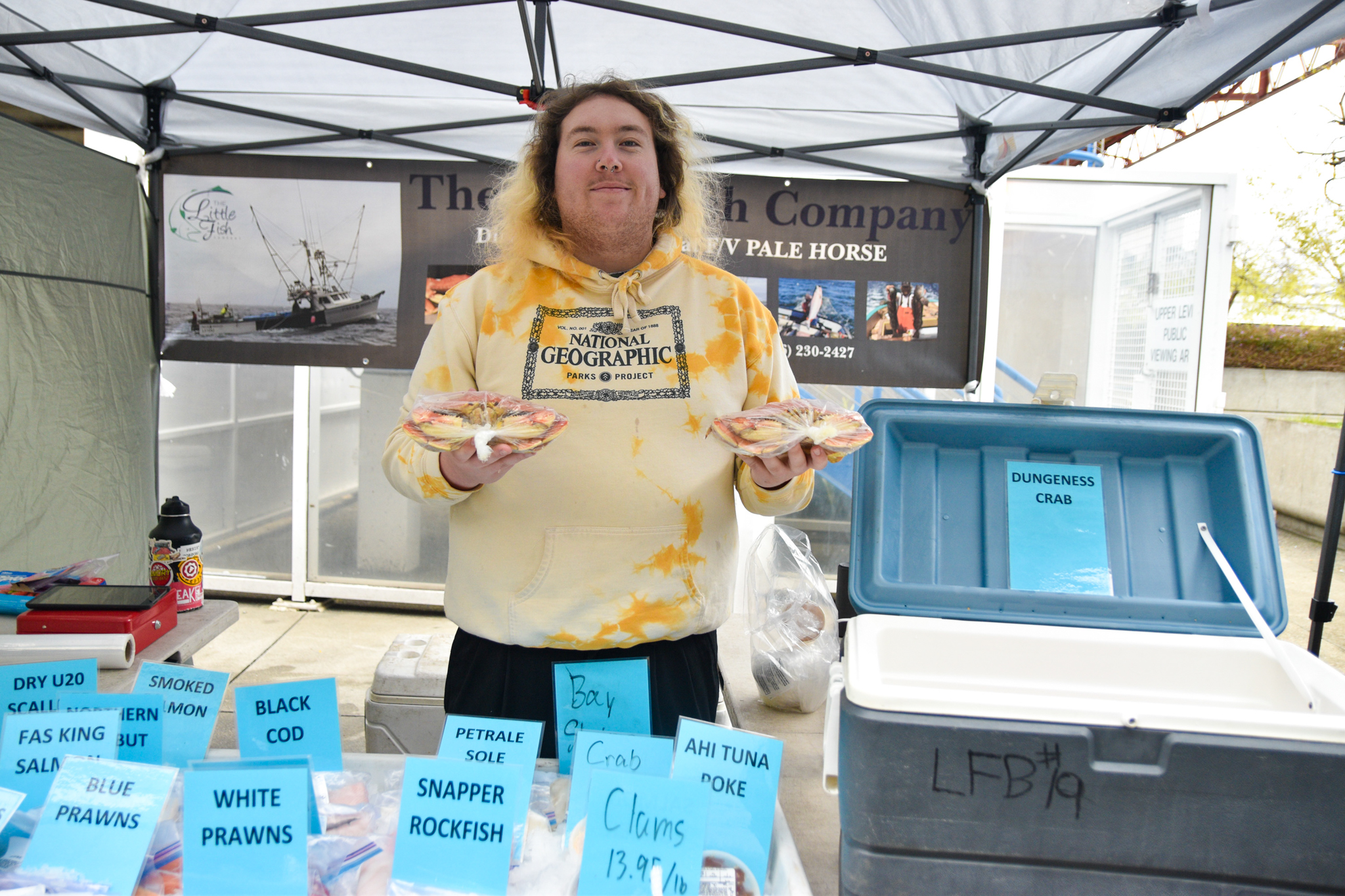 The Little Fish Company