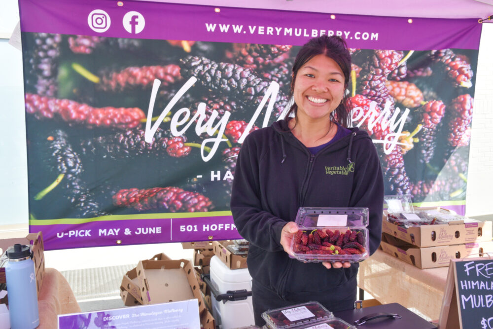 A smiling person, Joyce, at Very Mulberry's stand at the Ferry Plaza Farmers Market