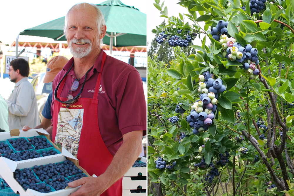 Eager for Corn, Melons, and Other Summer Crops? Our Local Farmers Are