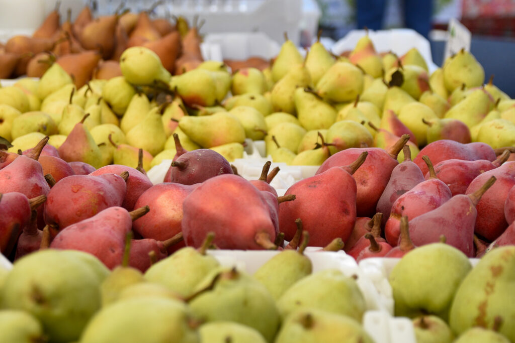 A variety of pears at a farmers market stand