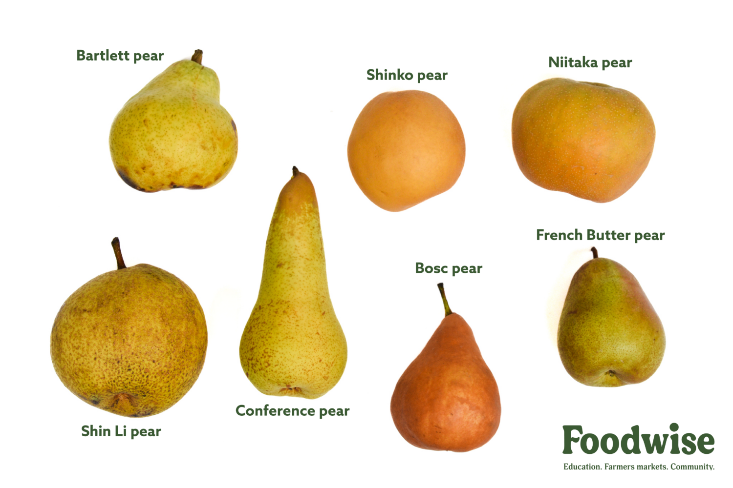 Bartlett Pear vs Bosc Pear: What is the difference?