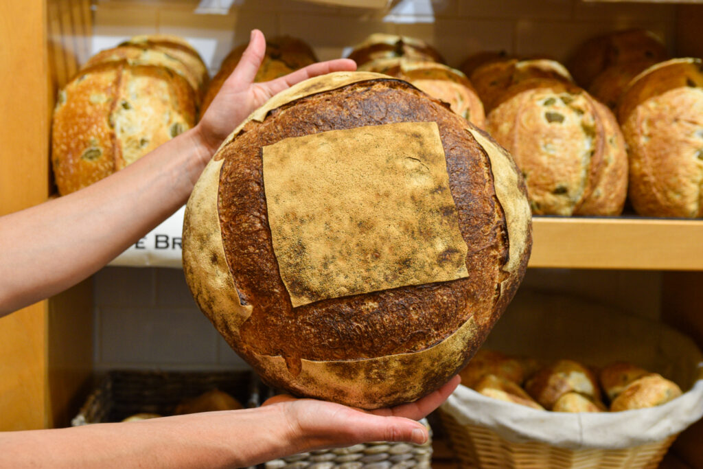 Two hands hold a large sourdough round