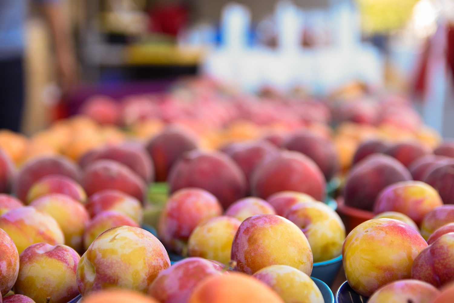 Pluots, Apriums, and the Flavorful World of Hybrid Fruit Foodwise