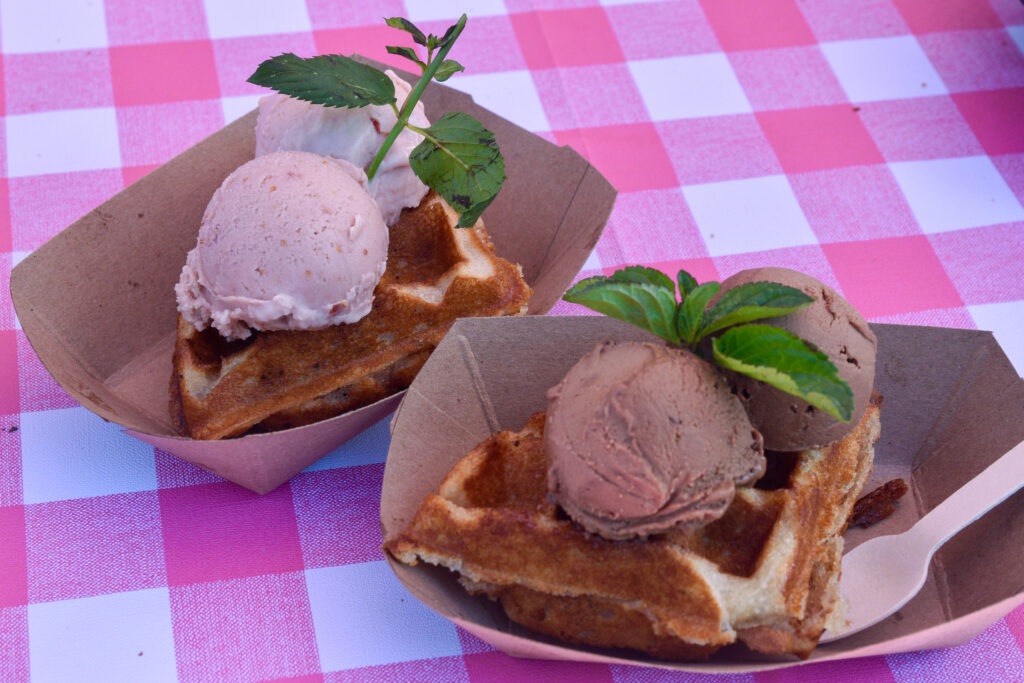 Two plates side by side. One has pink fig and plum gelato on a waffle. The other has brown chocolate gelato on a waffle.