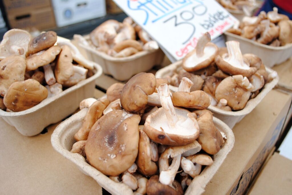 Shiitake mushrooms held in small boxes, with a label marking their sale price