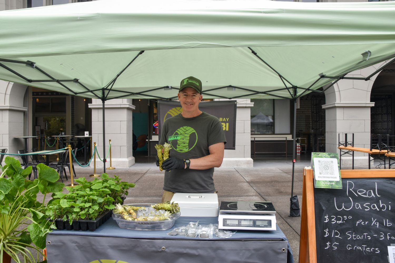 Half Moon Bay Wasabi